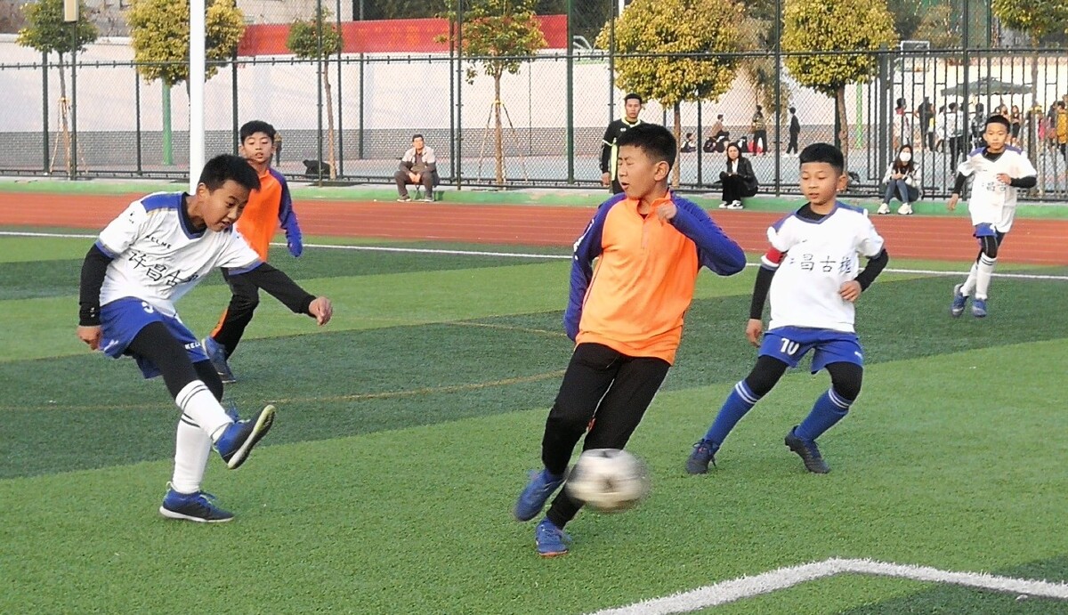 和动作结果 和动作结果