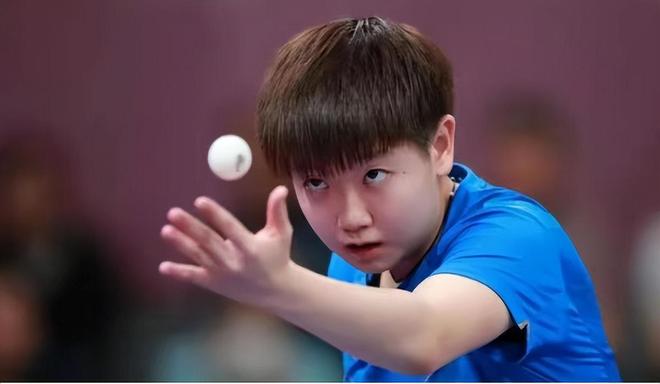 機構的介入 機構的介入