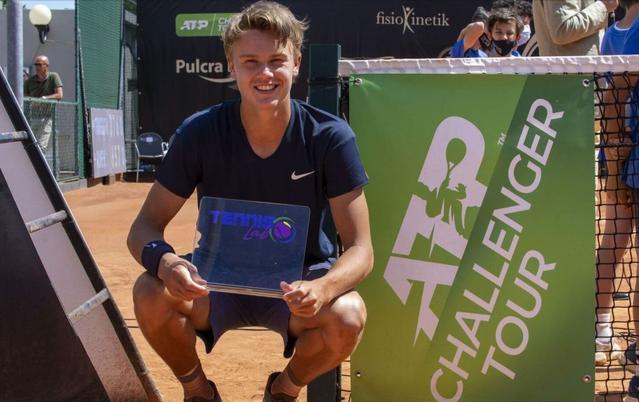 表述化解质 表述化解质