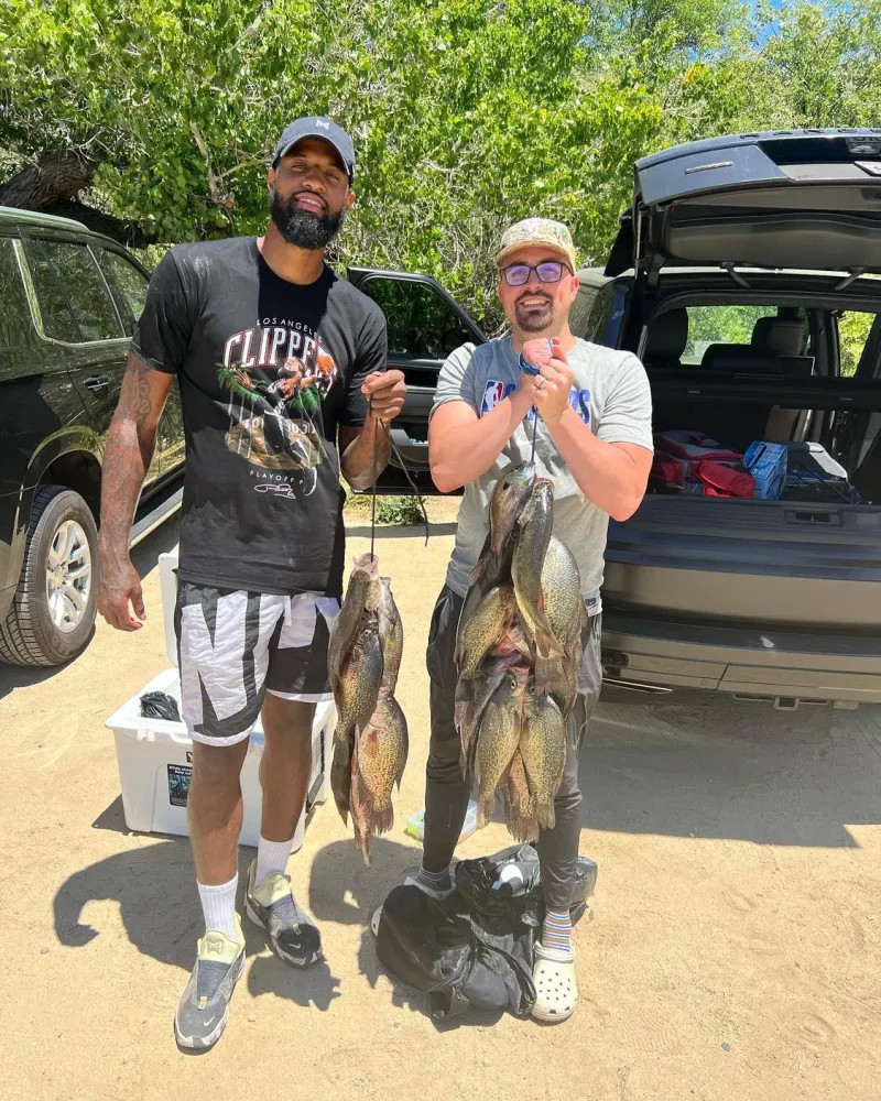 伤病记录 伤病记录